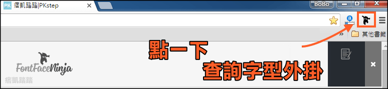 看網頁使用的字型外掛4