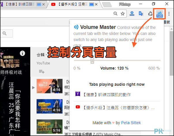 Chrome分頁音量設定2