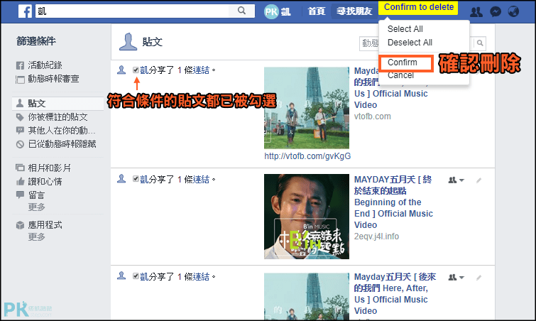 Social-Book-Post-Manager批次刪除fb貼文6