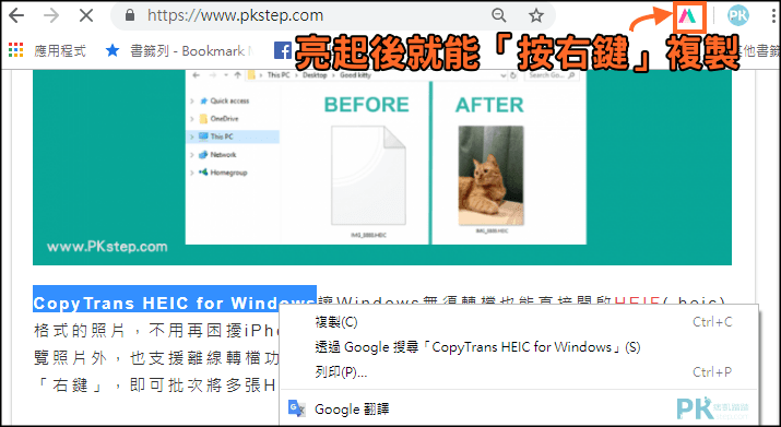 Allow-Copy破解右鍵複製圖片文字3