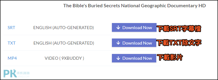 SaveSubs影片字幕檔下載工具3