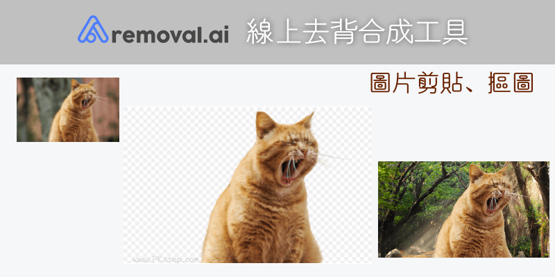 免費removal Ai線上去背合成工具 自動剪貼圖片 替換背景 P圖超簡單