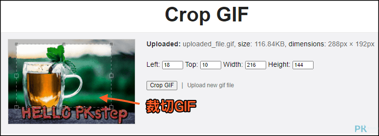 Resize-GIF線上調整GIF大小4