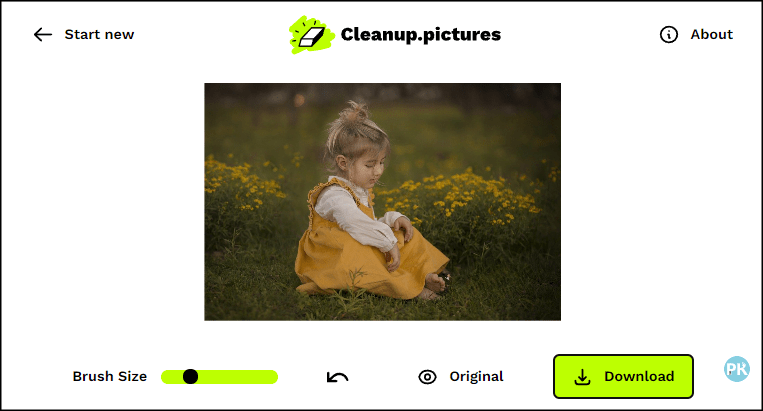 Cleanup.pictures從照片刪除某個人物、缺陷或物品4