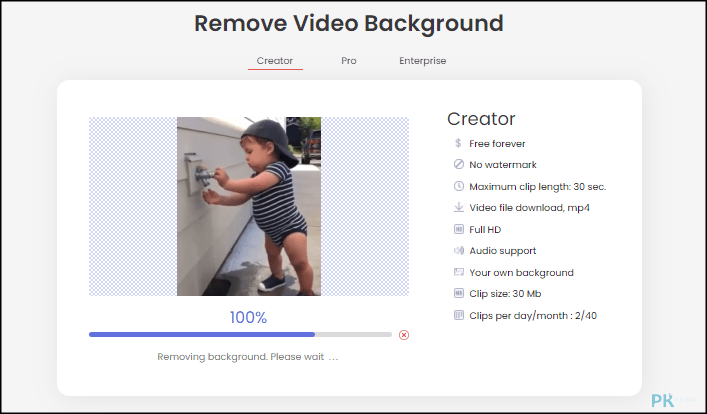 BgRem免費無浮水印線上影片去背工具2