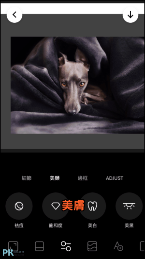 Instasize美圖App-教學8