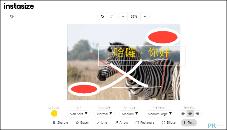 Instasize電腦網頁版-加入文字