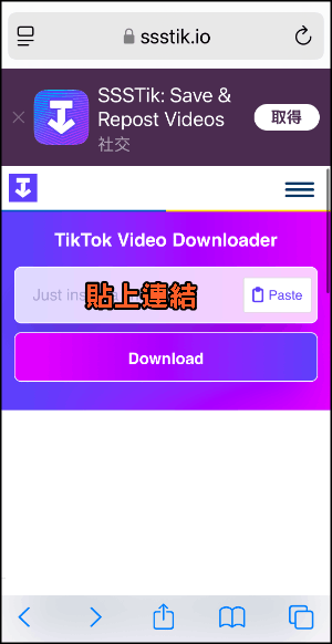 tiktok線上去浮水印網頁3